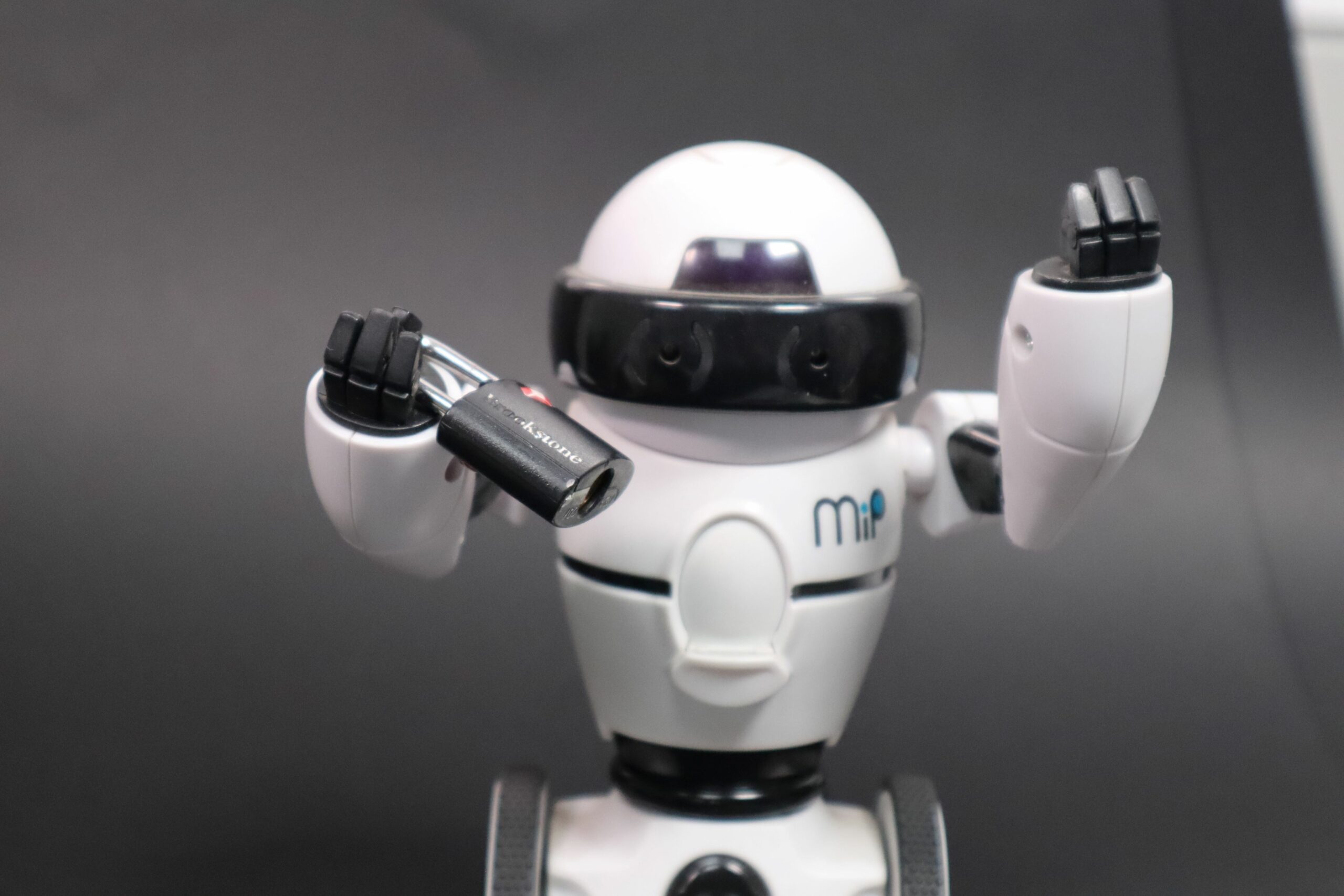 Avance asiático que pone en riesgo el lugar de iRobot en la robótica del hogar